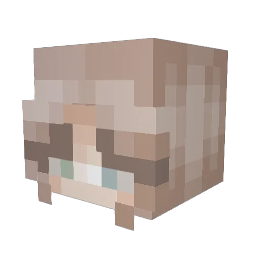 NicoleCaitlyn Minecraft avatar head, 3D render