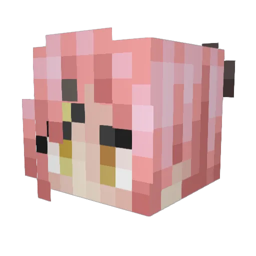 NicoleDemara2000 Minecraft avatar head, 3D render