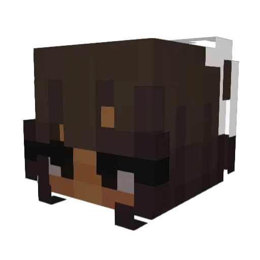 NicoleMarcquaneT Minecraft avatar head, 3D render