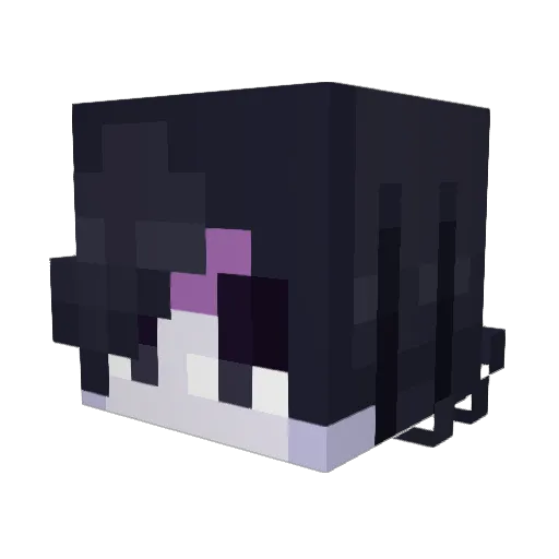 NicoleMonster Minecraft avatar head, 3D render