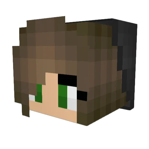 Nicole_86 Minecraft avatar head, 3D render
