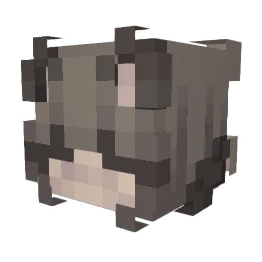 Nicole_DK Minecraft avatar head, 3D render