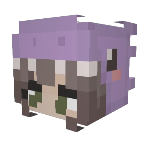 Nicole__14 Minecraft avatar head, 3D render