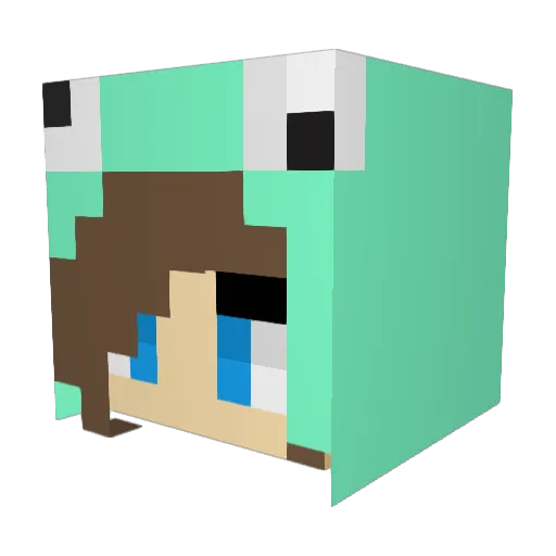 Nicolecoolcat Minecraft avatar head, 3D render