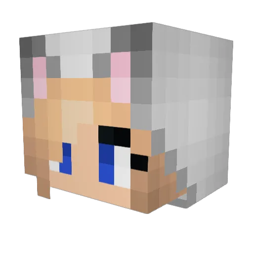 Nicolede Minecraft avatar head, 3D render