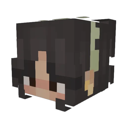 Nicoledem123 Minecraft avatar head, 3D render