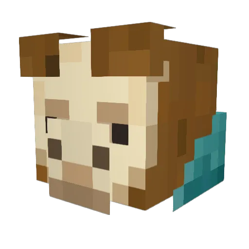 Nicoleiro_pro Minecraft avatar head, 3D render