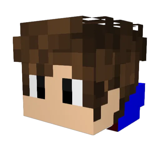 Nicolelynn411 Minecraft avatar head, 3D render