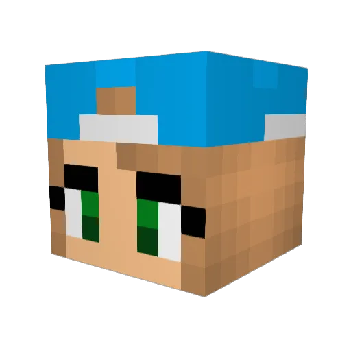 Nicolemat Minecraft avatar head, 3D render