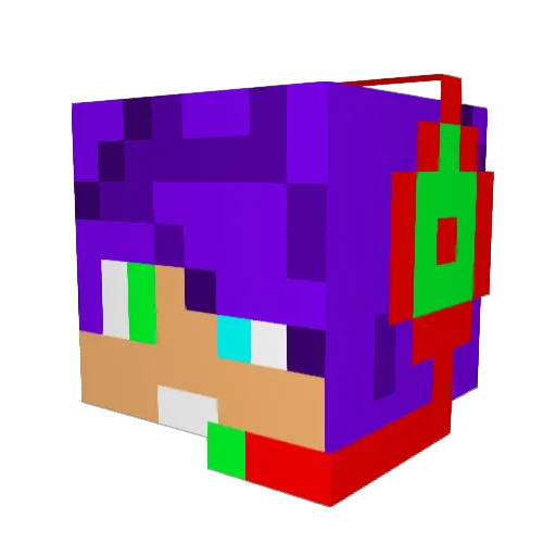 Nicoley5885 Minecraft avatar head, 3D render