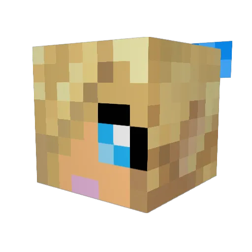 Nicolioli Minecraft avatar head, 3D render