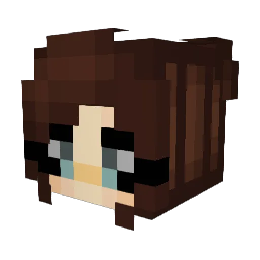 Nicoliz Minecraft avatar head, 3D render