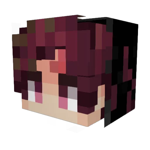 NicollasPetrelli Minecraft avatar head, 3D render
