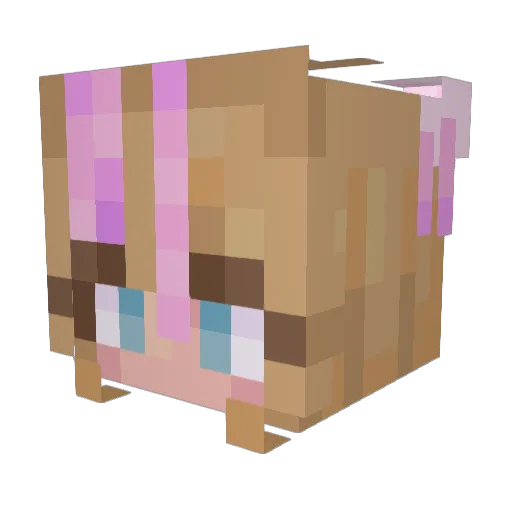 Nicolovna Minecraft avatar head, 3D render