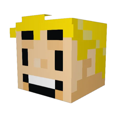 Nicols__ Minecraft avatar head, 3D render