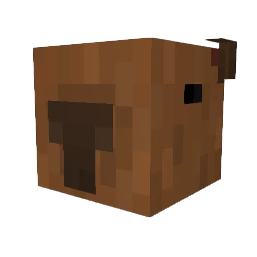 Nicolushh_ Minecraft avatar head, 3D render