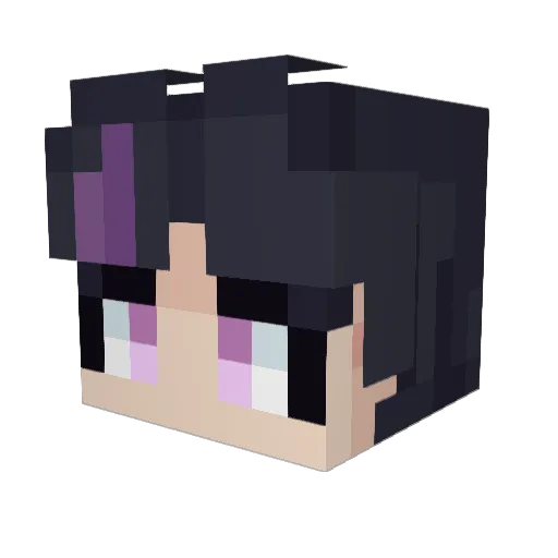 Niconwn Minecraft avatar head, 3D render