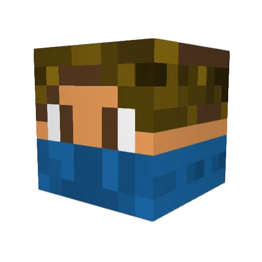 Nicop0l Minecraft avatar head, 3D render