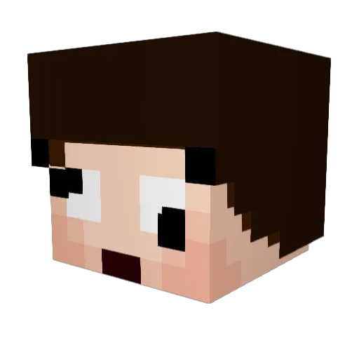 NicotheCool1 Minecraft avatar head, 3D render