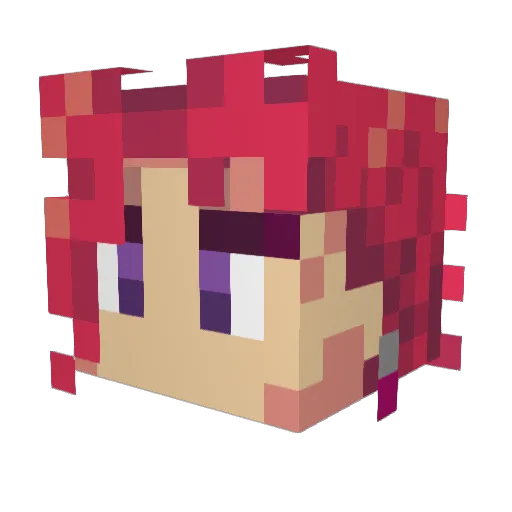 Nicothomas2 Minecraft avatar head, 3D render
