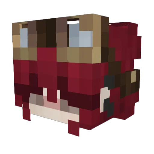 Nicotique Minecraft avatar head, 3D render