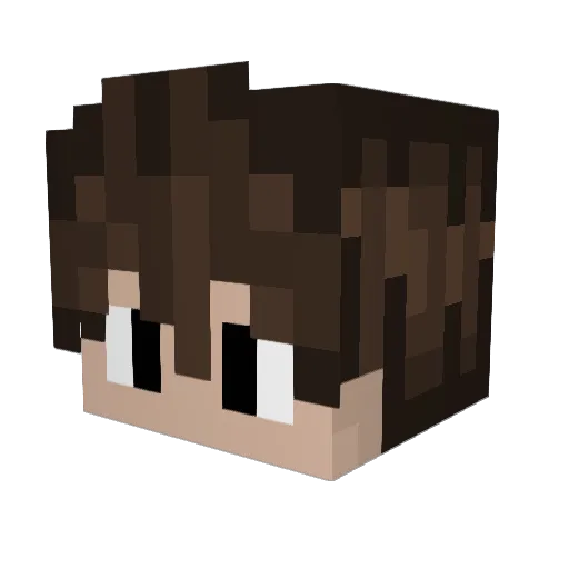 Nicottos Minecraft avatar head, 3D render