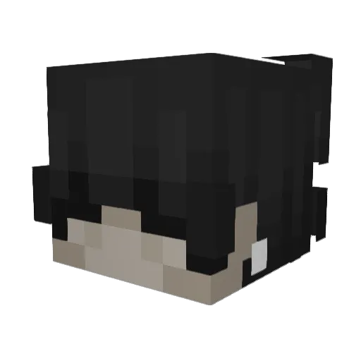 Nicotus123 Minecraft avatar head, 3D render