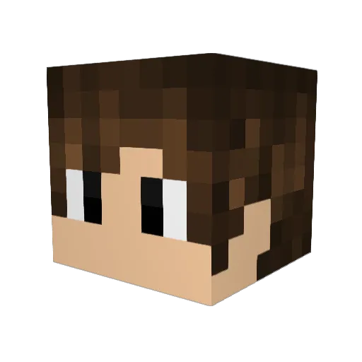 Nicovader Minecraft avatar head, 3D render