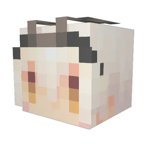 Nicoville_ Minecraft avatar head, 3D render