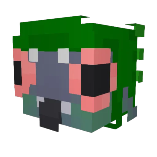 Nicowhd Minecraft avatar head, 3D render