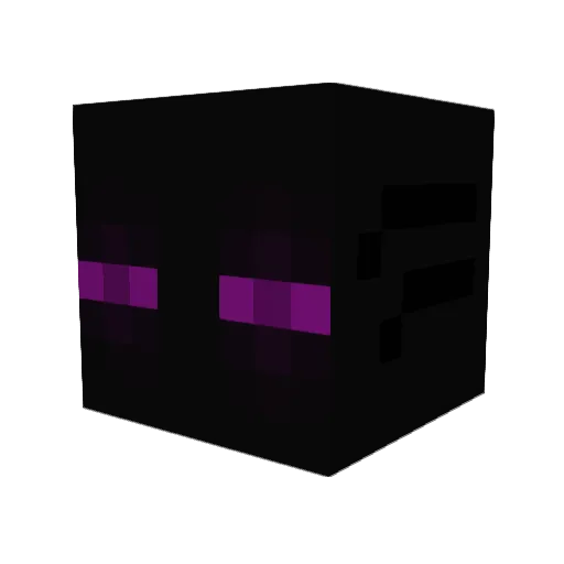 Nicro4Fun Minecraft avatar head, 3D render