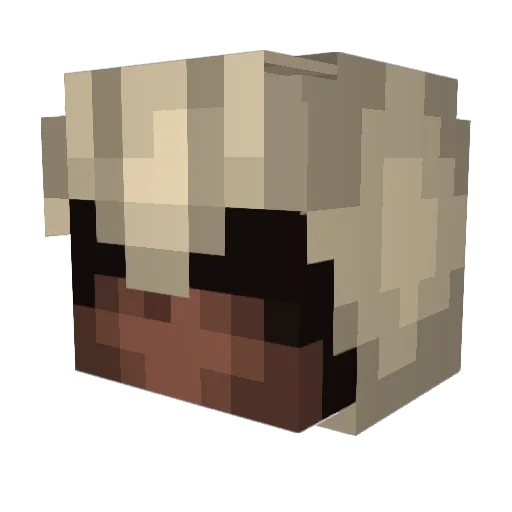 Nictoram Minecraft avatar head, 3D render