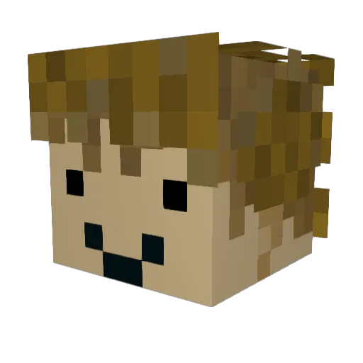 NicvGrieken Minecraft avatar head, 3D render