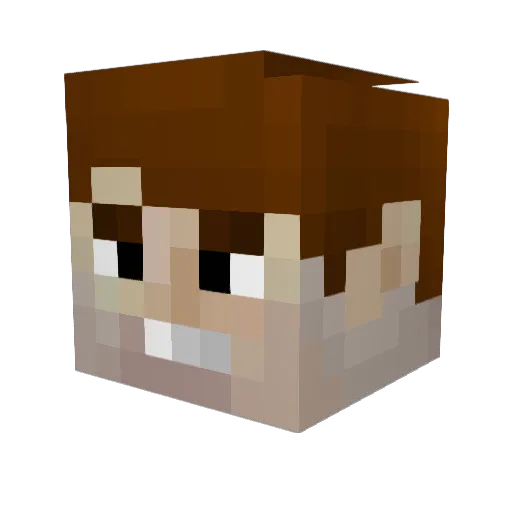 Nicxes Minecraft avatar head, 3D render