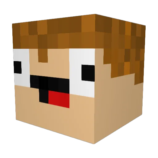 NidNitro Minecraft avatar head, 3D render