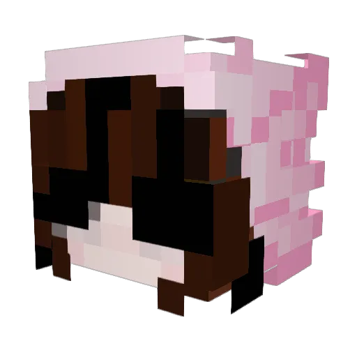 Nidalys Minecraft avatar head, 3D render