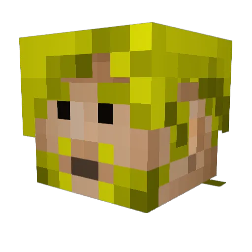 Nidestra Minecraft avatar head, 3D render