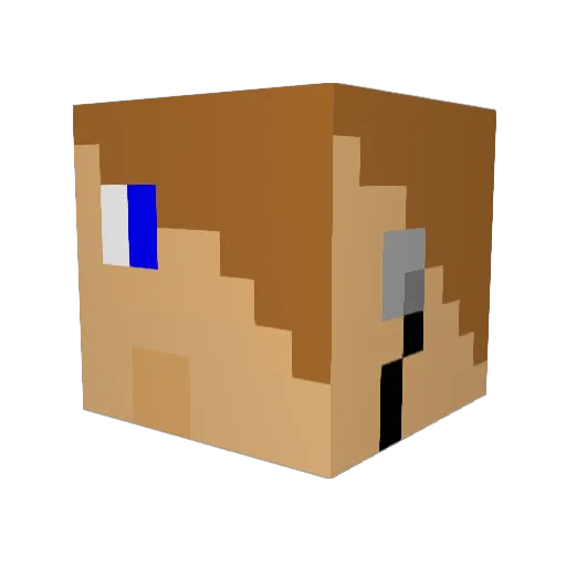 Nidesy Minecraft avatar head, 3D render