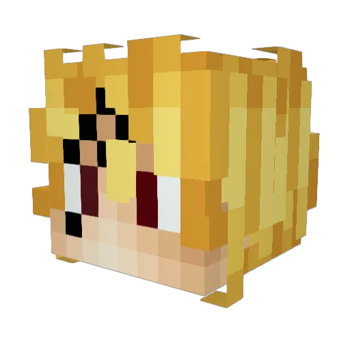 NidiMeliodas Minecraft avatar head, 3D render