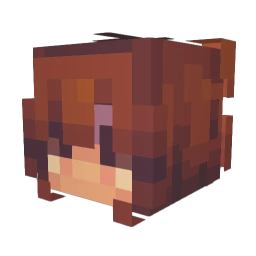 Nidwelin Minecraft avatar head, 3D render