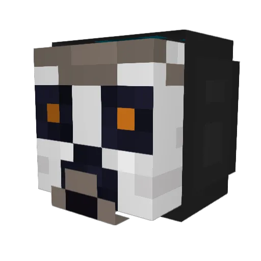 NieMogeTeraz Minecraft avatar head, 3D render
