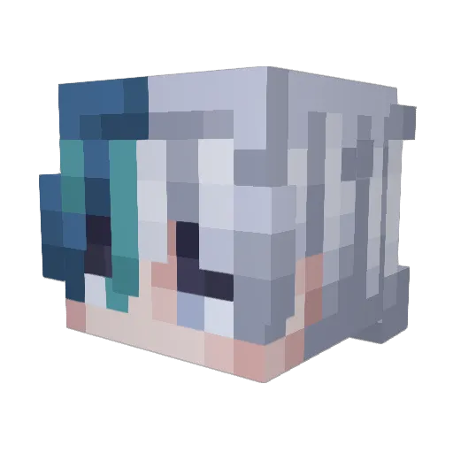 NieelMC Minecraft avatar head, 3D render