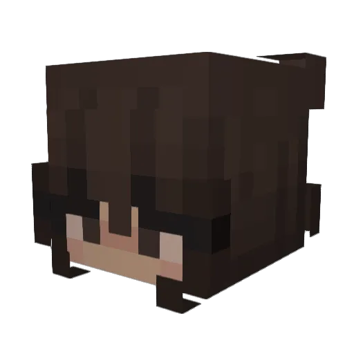 Niegodoma Minecraft avatar head, 3D render
