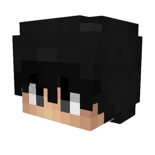 Niek08 Minecraft avatar head, 3D render