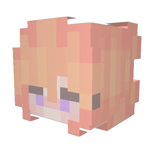 Niekski Minecraft avatar head, 3D render
