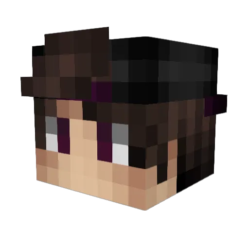 NielPlayer Minecraft avatar head, 3D render