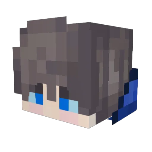 NiellxD Minecraft avatar head, 3D render