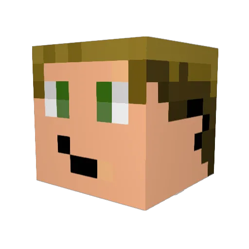 Niels006 Minecraft avatar head, 3D render