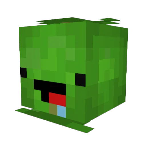 Niels070 Minecraft avatar head, 3D render