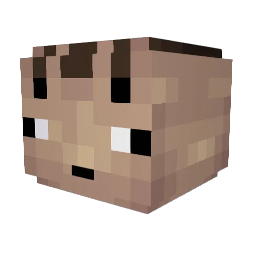 Niels7410 Minecraft avatar head, 3D render